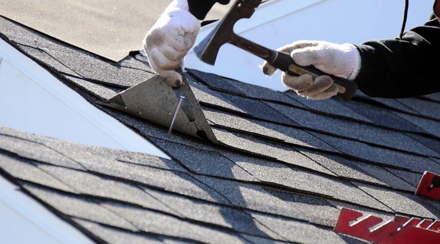 Professional gutter cleaning in Thonotosassa, FL